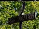 springdale linux