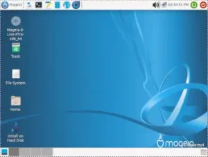 mageia 8