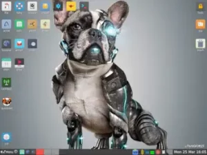 puppy linux