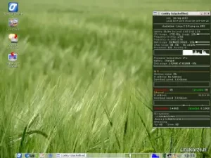 slackel 3.1 openbox