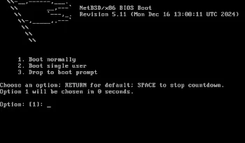 netbsd 10