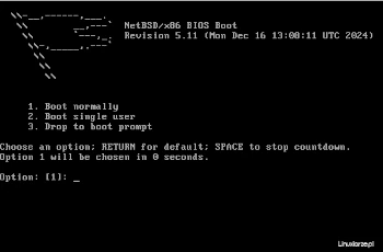 netbsd 10