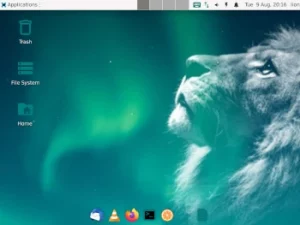 lion linux