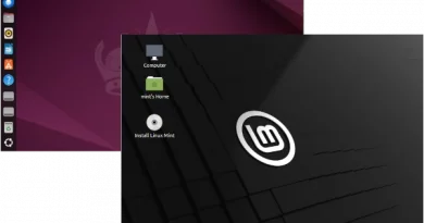 ubuntu vs. linux mint