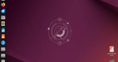 ubuntu 24.10